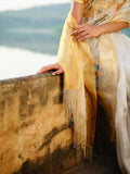 "GRAH" handloom tissue saree