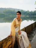 "GRAH" handloom tissue saree