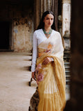 "BRIH" handloom tissue saree