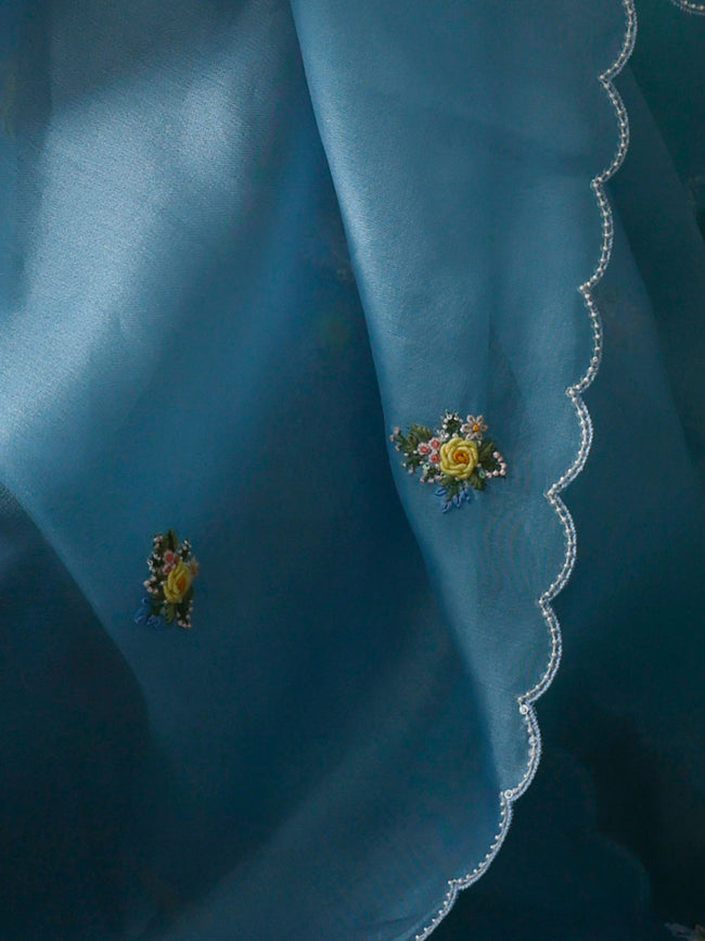 Blue embroidery saree set